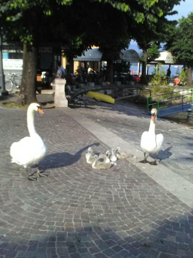 Il Guscio Hotell Baveno Eksteriør bilde